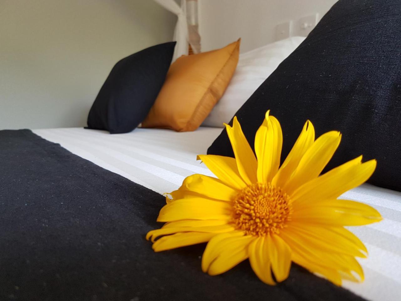 מיריסה White Villa Beach Resort מראה חיצוני תמונה