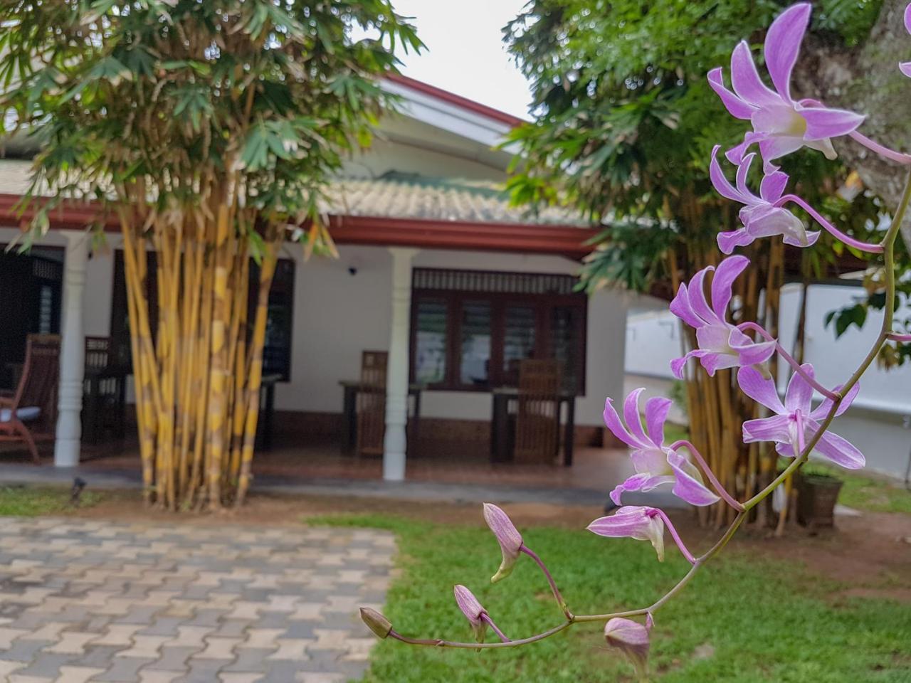 מיריסה White Villa Beach Resort מראה חיצוני תמונה